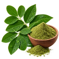 Moringa leaf powder in {{OFFER_NAME}}